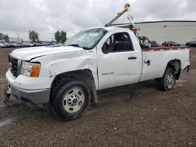 GMC SIERRA 2013 with VIN 1GT01ZCG1DF216937 - Photo from auction