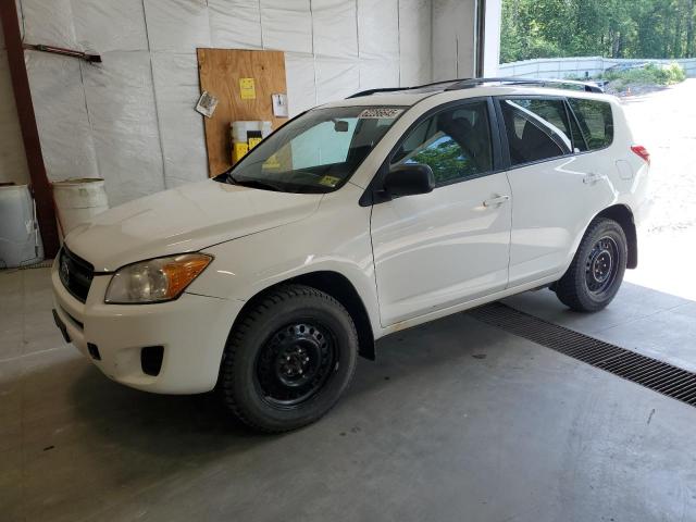 TOYOTA RAV4 2012 with VIN 2T3BF4DV5CW254243 - Photo from auction