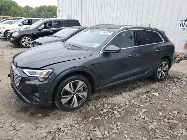AUDI Q8 E-TRON 2024 with VIN WA15ABGE1RB057061 - Photo from auction