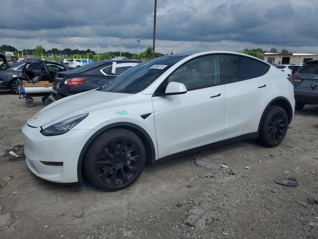 TESLA MODEL Y 2020 con VIN 5YJYGDEE5LF008630 - Foto de la subasta