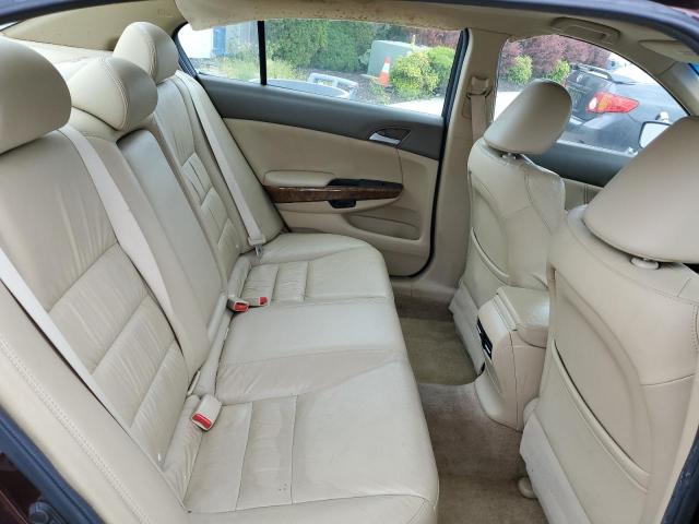 Photo 10 from auction – 2010 HONDA ACCORD EXL with VIN 5KBCP3F80AB007123