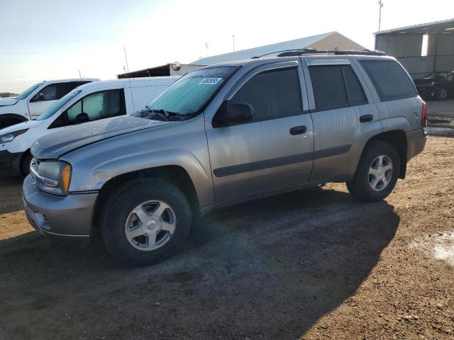 CHEVROLET TRAILBLAZE 2005 with VIN 1GNDT13S252239581 - Photo from auction