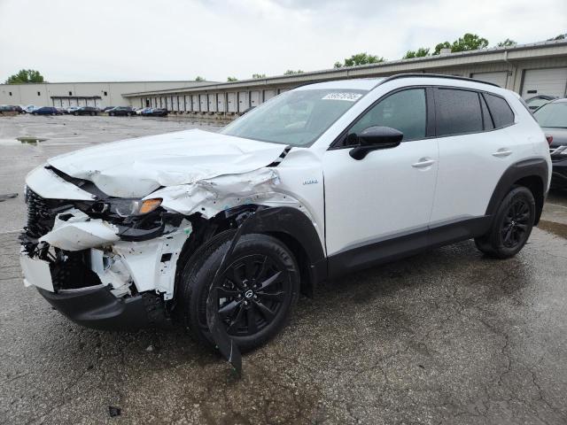 MAZDA CX-50 PREMIUM 2025 with VIN 7MMVAADW4SN119585 - Photo from auction