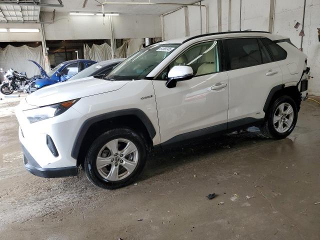 TOYOTA RAV4 LE 2020 with VIN JTMM6RFV4LD001561 - Photo from auction