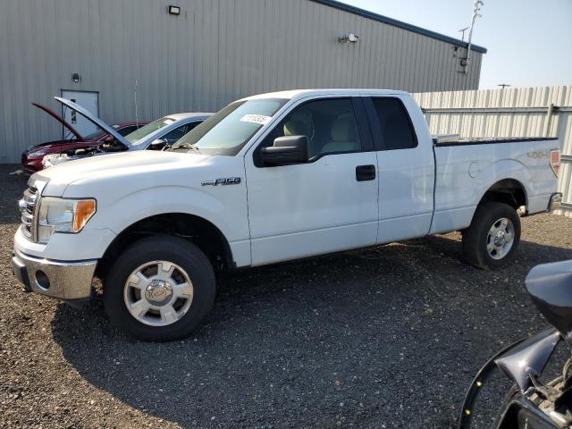 FORD F150 SUPER 2013 with VIN 1FTEX1EM8DFA99768 - Photo from auction