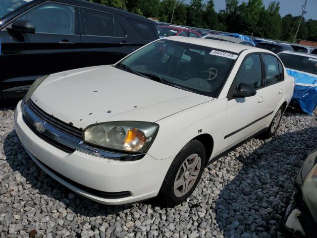 CHEVROLET MALIBU 2004 with VIN 1G1ZS52F34F130124 - Photo from auction