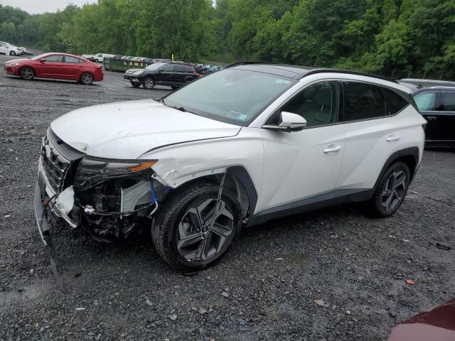 HYUNDAI TUCSON LIM 2022 with VIN KM8JECA10NU033266 - Photo from auction