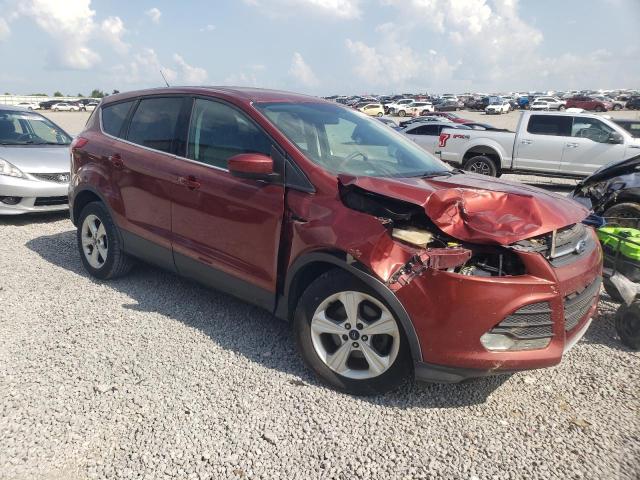 Photo 4 from auction – 2014 FORD ESCAPE SE with VIN 1FMCU0GX5EUB07352