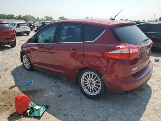 Photo 2 from auction – 2014 FORD C-MAX SEL with VIN 1FADP5BU1EL507401