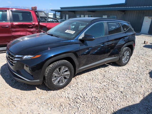 HYUNDAI TUCSON BLU 2022 with VIN KM8JBCA11NU082890 - Photo from auction