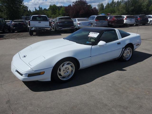 CHEVROLET CORVETTE 1996 with VIN 1G1YY2256T5115749 - Photo from auction