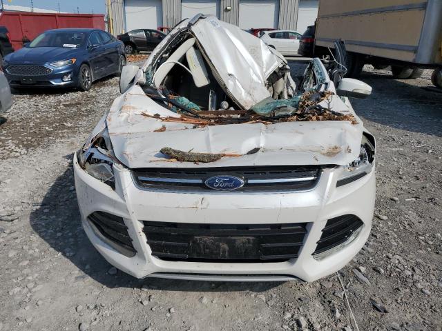 Photo 5 from auction – 2015 FORD ESCAPE with VIN 1FMCU0JX5FUC24598