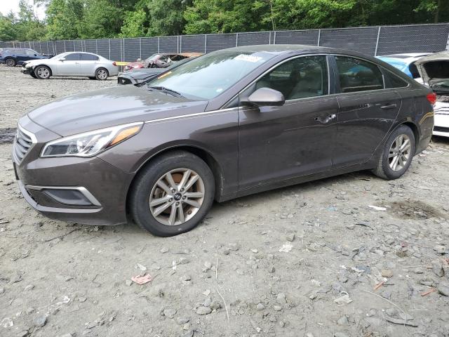 HYUNDAI SONATA SE 2016 with VIN 5NPE24AF8GH324479 - Photo from auction