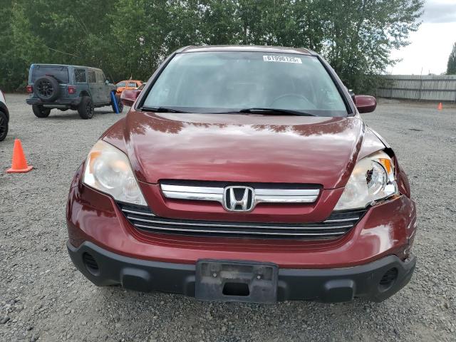 Photo 5 from auction – 2007 HONDA CR-V EXL with VIN JHLRE48717C123724