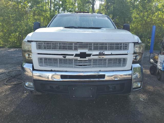 Photo 5 from auction – 2010 CHEVROLET SILVERADO with VIN 1GC7K1B65AF112324
