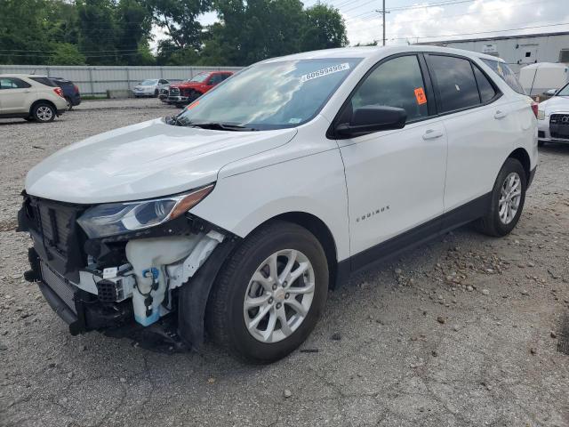 CHEVROLET EQUINOX LS 2019 with VIN 2GNAXHEVXK6130050 - Photo from auction