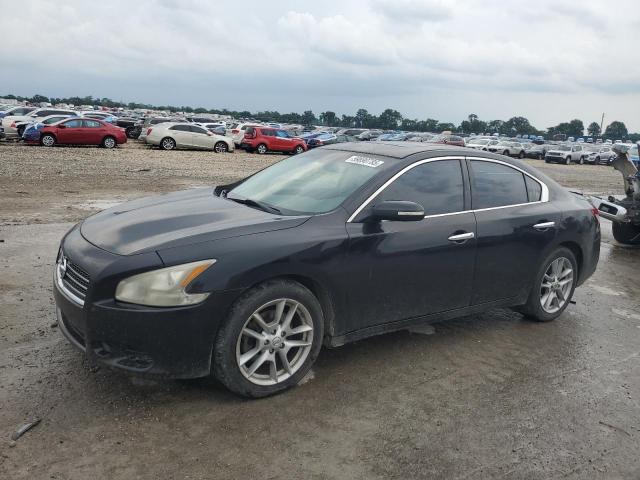 Photo 1 from auction – 2010 NISSAN MAXIMA S with VIN 1N4AA5AP6AC848139