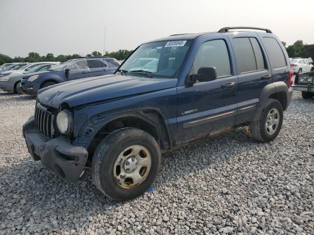 JEEP LIBERTY SP 2004 with VIN 1J4GL48K04W103841 - Photo from auction