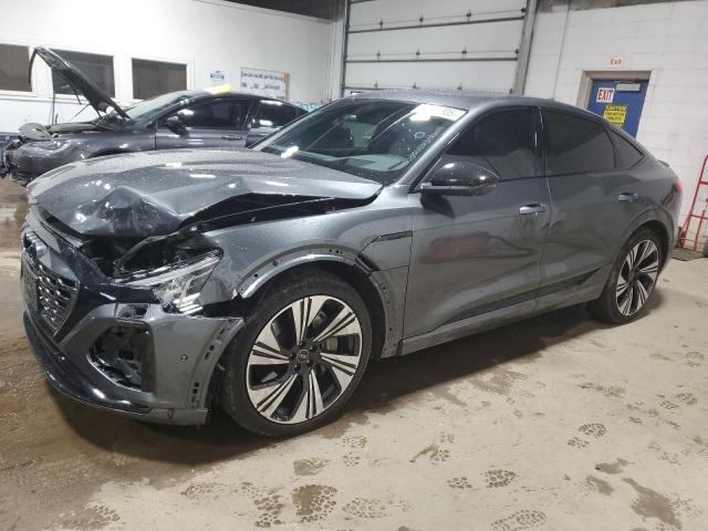 AUDI Q8 E-TRON 2024 with VIN WA1DABGE6RB007445 - Photo from auction