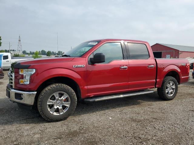 FORD F150 SUPER 2016 z numerem VIN 1FTEW1E83GFC02296 - Zdjęcie z aukcji