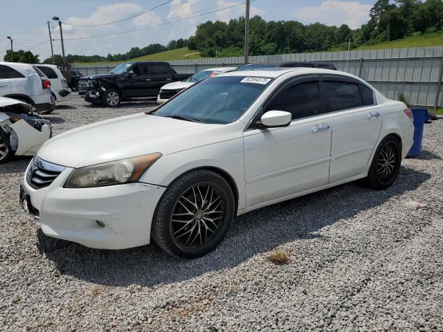 HONDA ACCORD EXL 2011 with VIN 1HGCP3F86BA026981 - Photo from auction