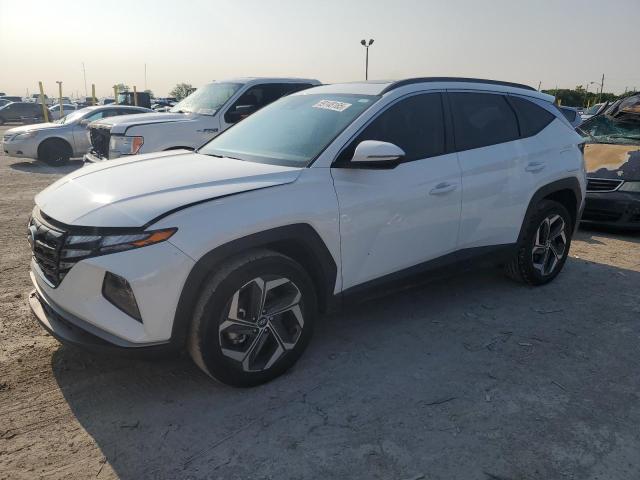 HYUNDAI TUCSON SEL 2024 with VIN 5NMJFCDEXRH398891 - Photo from auction