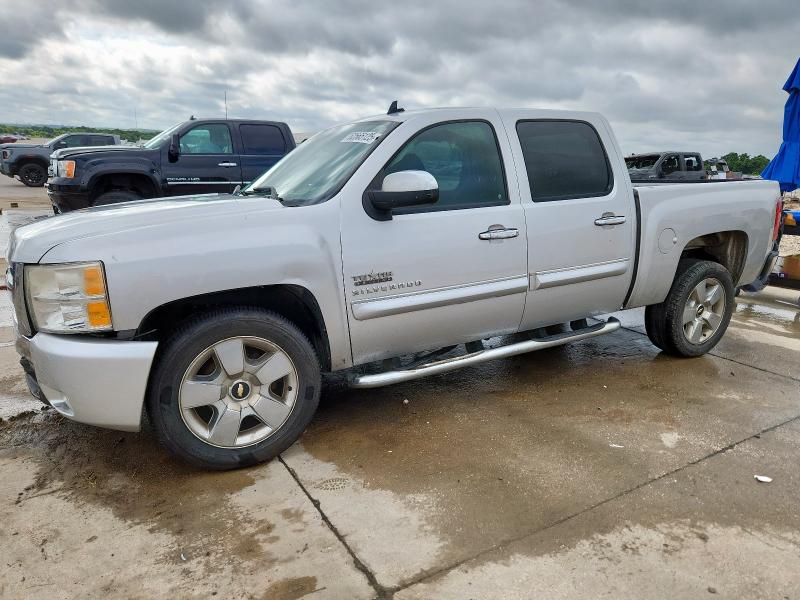 CHEVROLET SILVERADO 2010 with VIN 3GCRCSE0XAG159205 - Photo from auction