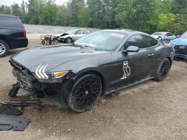 FORD MUSTANG 2016 with VIN 1FA6P8TH5G5319774 - Photo from auction