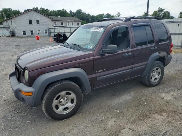 JEEP LIBERTY 2004 with VIN 1J4GL48KX4W259174 - Photo from auction
