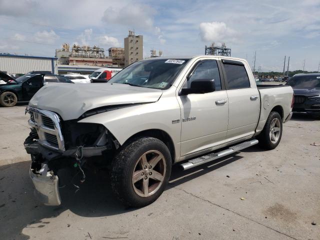 DODGE RAM 1500 2010 with VIN 1D7RB1CT9AS194892 - Photo from auction