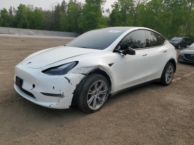 TESLA MODEL Y 2023 with VIN 7SAYGDEE3PF775207 - Photo from auction