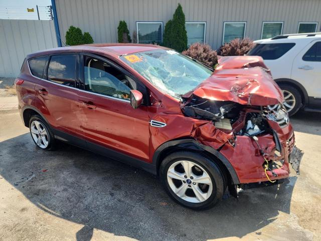 Photo 4 from auction – 2014 FORD ESCAPE SE with VIN 1FMCU0GX6EUB26623
