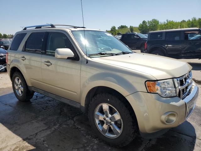 Photo 4 from auction – 2010 FORD ESCAPE LIM with VIN 1FMCU9EG5AKC49732