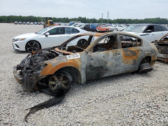 NISSAN MAXIMA SE 2004 with VIN 1N4BA41E34C846236 - Photo from auction