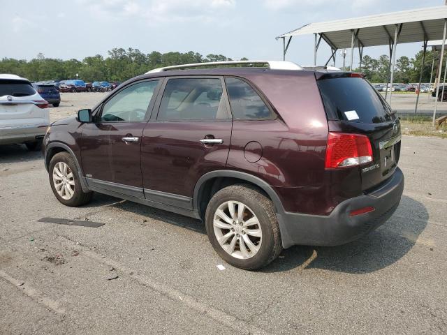 Photo 2 from auction – 2011 KIA SORENTO BA with VIN 5XYKTDA2XBG157054