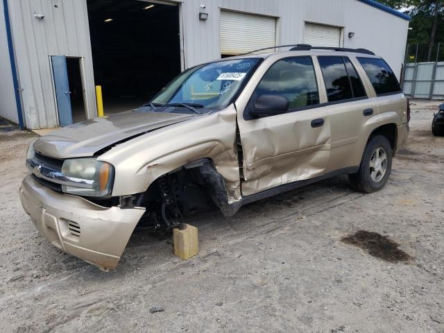 CHEVROLET TRAILBLAZE 2006 with VIN 1GNDS13S862239461 - Photo from auction