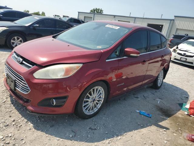 FORD C-MAX SEL 2014 with VIN 1FADP5BU1EL507401 - Photo from auction