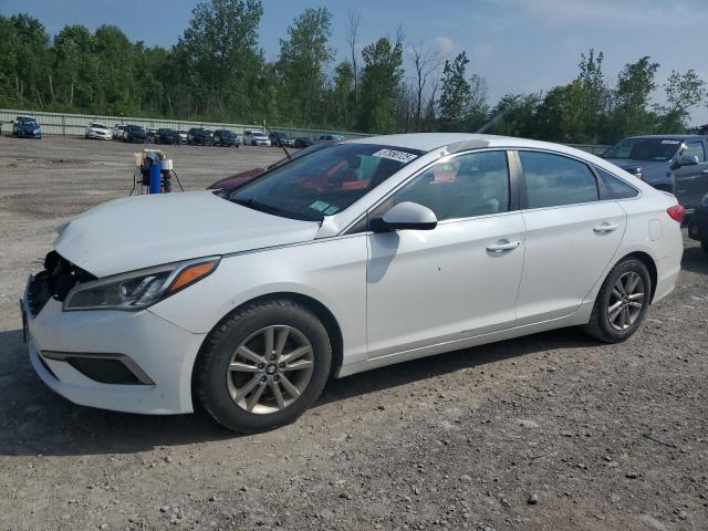 HYUNDAI SONATA 2016 with VIN 5NPE24AF3GH417667 - Photo from auction