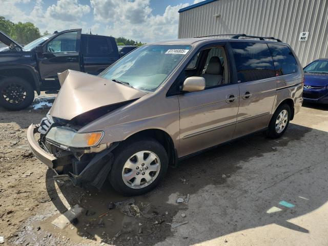 HONDA ODYSSEY EX 2003 with VIN 5FNRL18743B111811 - Photo from auction