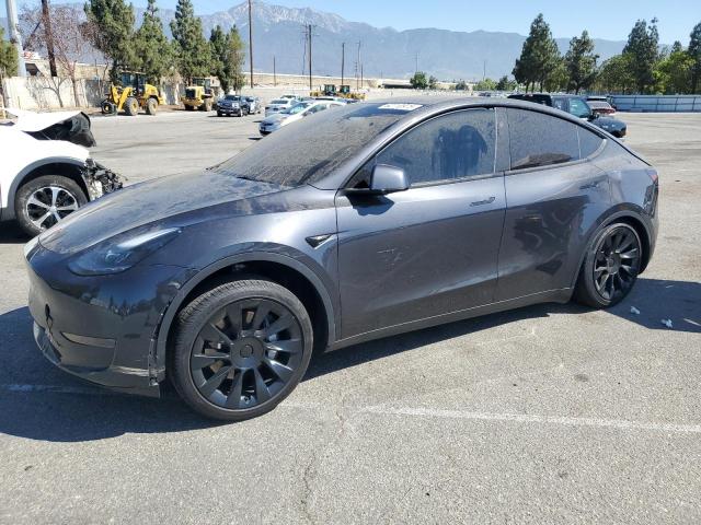 TESLA MODEL Y 2024 with VIN 7SAYGDED9RF103372 - Photo from auction