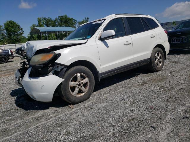 HYUNDAI SANTA FE G 2007 with VIN 5NMSG13D67H075188 - Photo from auction