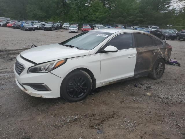 HYUNDAI SONATA SE 2016 with VIN 5NPE24AF9GH328430 - Photo from auction