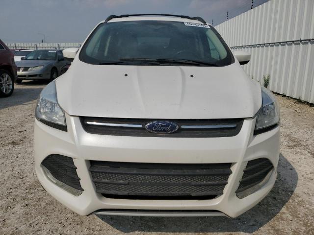 Photo 5 from auction – 2014 FORD ESCAPE with VIN 1FMCU9G95EUE30029