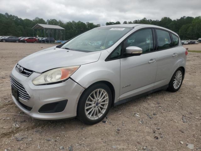 FORD C-MAX SE 2014 with VIN 1FADP5AU4EL518099 - Photo from auction