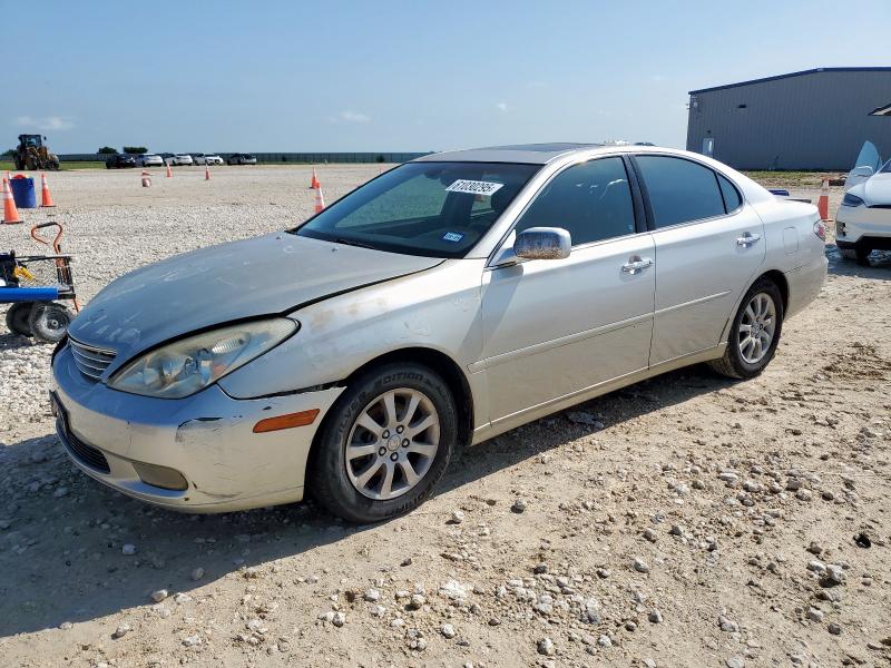 LEXUS ES 330 2004 with VIN JTHBA30G840003382 - Photo from auction