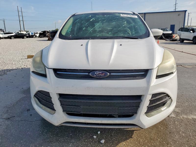 Photo 5 from auction – 2014 FORD ESCAPE SE with VIN 1FMCU0GX0EUC02448