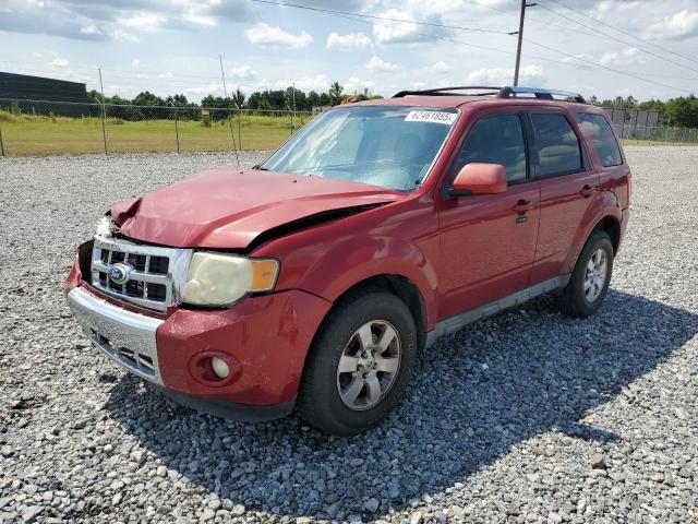 Photo 1 from auction – 2010 FORD ESCAPE LIM with VIN 1FMCU0EGXAKC14356
