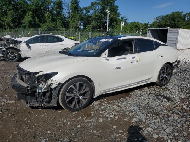 NISSAN MAXIMA 2017 with VIN 1N4AA6AP2HC384072 - Photo from auction