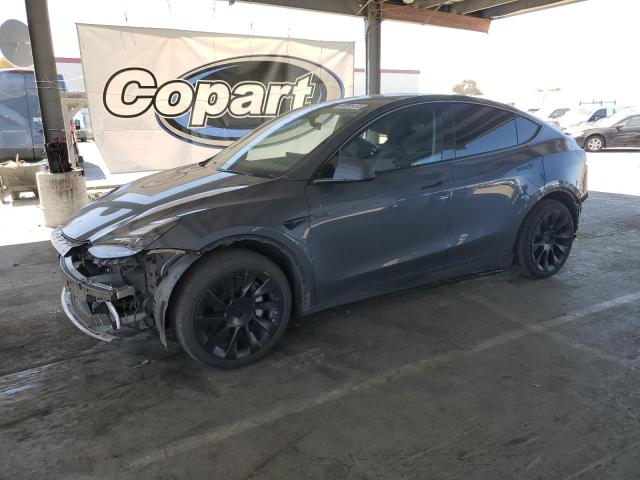 TESLA MODEL Y 2022 with VIN 7SAYGDEE4NF558374 - Photo from auction