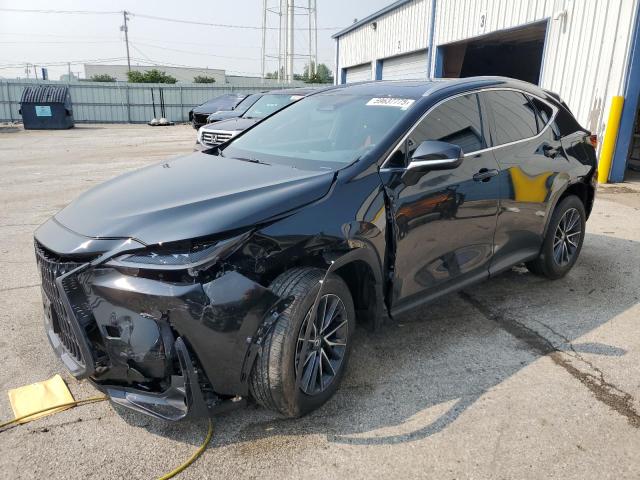 LEXUS NX 350 BAS 2025 with VIN 2T2AGCEZ7SC061228 - Photo from auction